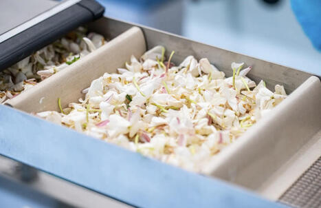 L&rsquo;upcycling, d&eacute;chet pr&eacute;cieux de l&rsquo;industrie des parfums | prospective et tendances | Scoop.it