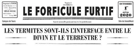 Résidence d'artiste à l'Institut de Recherche sur la Biologie de l'Insecte (IRBI) : Le Forficule Furtif | Insect Archive | Scoop.it