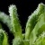 Scoop.it page of the TSL EMBO Course "Plant-Microbe Interaction", June 2012 | Plants and Microbes | Scoop.it