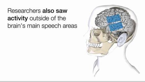 How the Brain Helps Us Understand Spoken Words in Noisy Settings | Linguistics & Language Neurology | Scoop.it