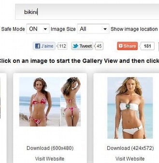 Recherche des images avec Google Image Ripper | Geeks | Scoop.it