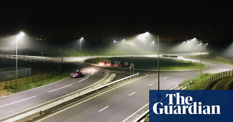 Les lampadaires à LED déciment bon nombre de papillons de nuit en Angleterre / LED streetlights decimating moth numbers in England | EntomoNews | Scoop.it