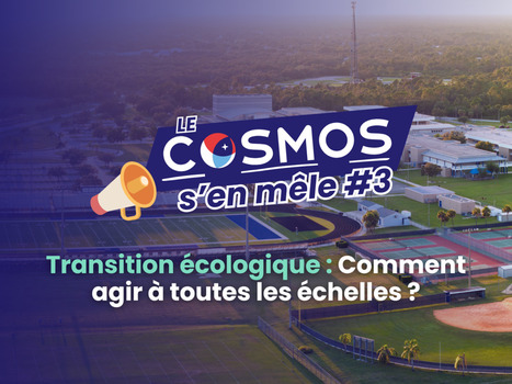 Le COSMOS s'en m&ecirc;le #3 - Comment agir &agrave; toutes les &eacute;chelles ?&nbsp; | 3 - Innovations sociales | Scoop.it
