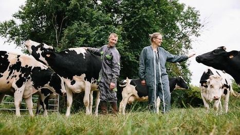 Des éleveurs misent sur les prairies pour diminuer l'empreinte carbone | Elevage et environnement | Scoop.it