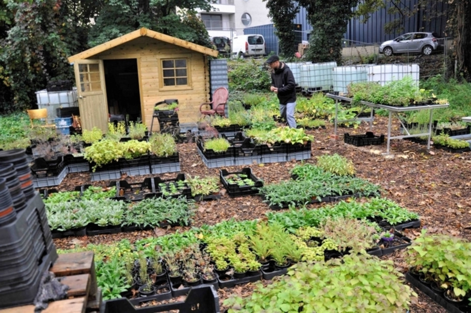 [Ailleurs... ] À Bruxelles, un «Végétalab» participatif pour reverdir la ville | Une semaine d'actu - Newsletter de veille de l'AURH | Scoop.it