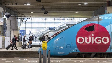 Des cafards dans le train Ouigo qui fait Paris - Lyon | Variétés entomologiques | Scoop.it