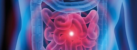 Les métabolites du microbiote intestinal reprogramment le métabolisme énergétique des cellules immunitaires et influencent l’inflammation intestinale | Life Sciences Université Paris-Saclay | Scoop.it