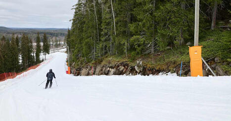 Tukes ei ep&auml;ile turvallisuus&shy;laimin&shy;ly&ouml;nti&auml; kuolemaan johtaneessa rinneturmassa Himoksella | Keski-Suomi | Yle | 1Uutiset - Lukemisen t&auml;hden | Scoop.it