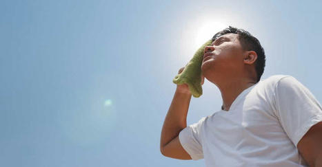 Chaleur et canicule : voici les températures limites au-delà desquelles le corps humain est en danger | Toxique, soyons vigilant ! | Scoop.it