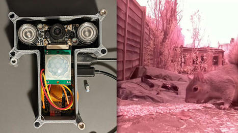 This DIY night vision motion-activated camera films garden wildlife while you're not around | Raspberry Pi | Scoop.it