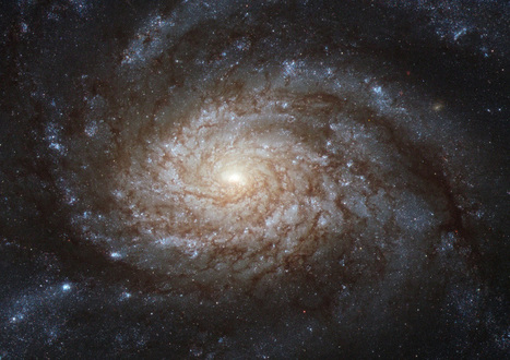 Do We Live in a 'Normal' Galaxy? - D-brief | Dr. Goulu | Scoop.it