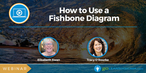 Webinar: How to Use a Fishbone Diagram (ENCORE!) | Lean Six Sigma Black Belt | Scoop.it