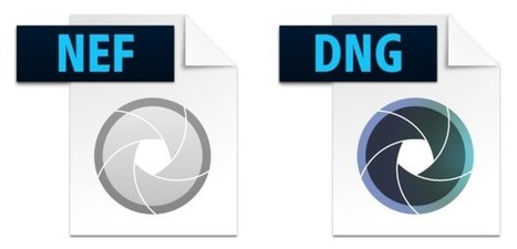 Convertir ses RAW au format DNG, une bonne idée ? | Phototrend.fr | Découvrir le monde de la photo | Scoop.it