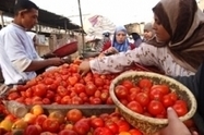 Gaspillage alimentaire et changement climatique à l’ordre du jour de la Conférence de la FAO pour le Proche-Orient - FAO | Gestion Durable des Ressources | Scoop.it