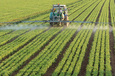 Heavily used pesticide linked to breathing problems in farmworkers’ children | Prévention du risque chimique | Scoop.it