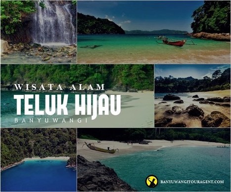 Pantai Teluk Hijau Banyuwangi In Wisata Banyuwangi Scoop It