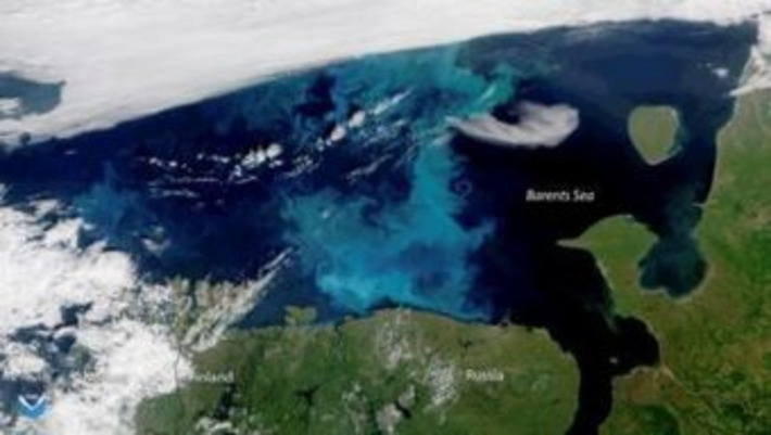 Océan Arctique In Océan Et Climat Un équilibre Nécessaire