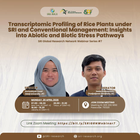 JAPAN/INDONESIA/MALAYSIA: Transcriptomic Profiling of Rice Plants under SRI and Conventional Management: Insights into Abiotic and Biotic Stress Pathways&nbsp; | SRI Global News-- October-December 2025-- System of Rice Intensification (SRI) | Scoop.it