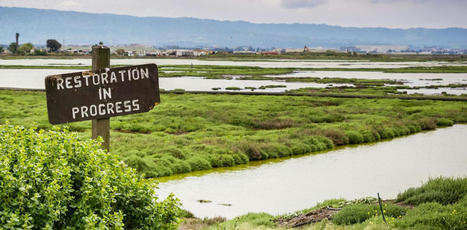 Peut-on « restaurer » la nature ? | Biodiversité | Scoop.it