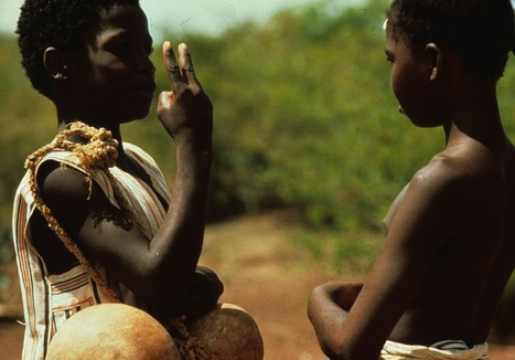 Africa At The Oscars: Best Foreign Language Film Submissions From The Continent - Burkina Faso | The World of Indigenous Languages | Scoop.it