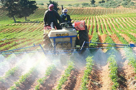 ALGERIE : La bataille agricole | CIHEAM Press Review | Scoop.it