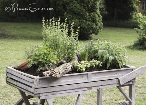 Herb Wagon | 1001 Gardens | 1001 Gardens ideas ! | Scoop.it