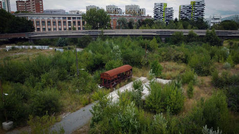 Lille : l&rsquo;abandon de la fosse de plong&eacute;e, une &laquo;premi&egrave;re &eacute;tape&raquo; selon PARC | L'engagement citoyen | Scoop.it