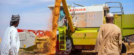 SUDAN: Farmers cultivate wheat and hope to avert a food crisis  | AFRIQUES | Scoop.it