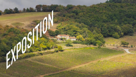 L&rsquo;architecte ne mord (presque) pas #2 | Architecture - Construction | Scoop.it