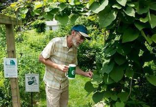 Create wildlife habitats | Gardening Life | Scoop.it