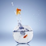 Retaining Talent? It Starts at the Top | Effective Executive Job Search | Scoop.it