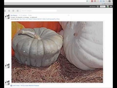 Jari Huomo - Google+ - Bigger images in Google+ stream! | GooglePlus Expertise | Scoop.it