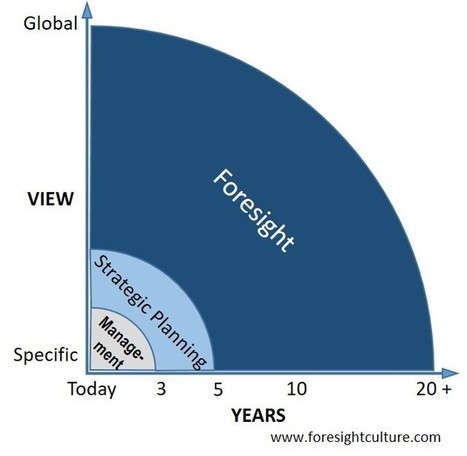 Management, strategy, and foresight compared | foresighting | Scoop.it