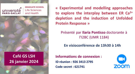 Café GS LSH - Jeudi 26 janvier 2024 à 13h30 en visio avec Ilaria Pontisso | Life Sciences Université Paris-Saclay | Scoop.it