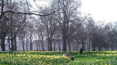 Green spaces keep hearts healthy and save lives | Energy Transition in Europe | www.energy-cities.eu | Scoop.it