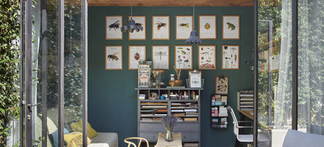 Le jardin de Juliette et Joséphine - Collection Les Petits Zécolos | Variétés entomologiques | Scoop.it