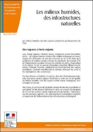 "Les milieux humides, des infrastructrures naturelles" | Paysage - Agriculture | Scoop.it