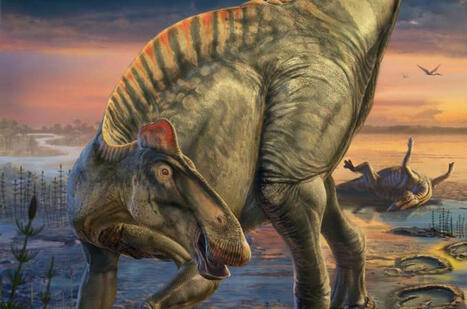 There’s a Dinosaur ‘Mummy Zone.’ Here’s What Scientists Found There. | by Becky Ferreira | 404Media.co | Schools + Libraries + Museums + STEAM + Digital Media Literacy + Cyber Arts + Connected to Fiber Networks | Scoop.it