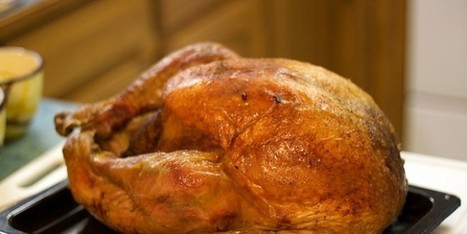 Thanksgiving : des dindes échappent à l’abattoir grâce au SPA | La Gazette des abattoirs | Scoop.it
