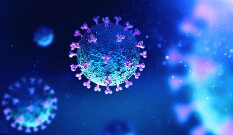 UK-CIC Public Webinar: COVID-19 and your immune system | UK-CIC | Immunology | Scoop.it