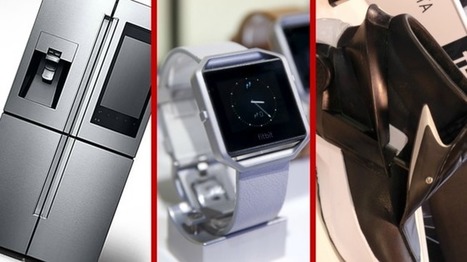 CES 2016: Smart gadgets for all the family - and dog - BBC News | IT Arts Entertainment and Leisure | Scoop.it