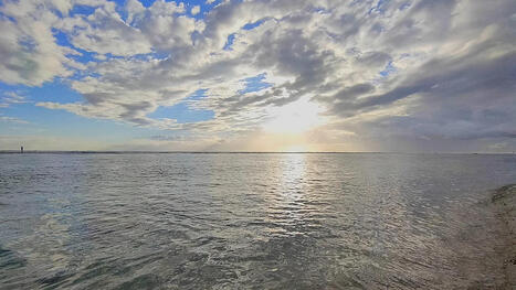 La Premi&egrave;re "COP Oc&eacute;ans" se tiendra du 11 au 22 janvier 2027 &agrave; New York - La 1&egrave;re | Biodiversit&eacute; : les chiffres-cl&eacute;s | Scoop.it