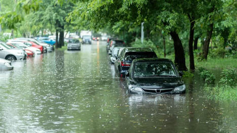 Un barrage a cédé sous la pression de l’eau en Pologne, conséquence des inondations dramatiques | Catastrophe naturelle | Scoop.it