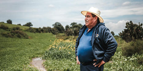 MEXICO: Farmers navigate extreme weather challenges with agritech | AMÉRIQUES | Scoop.it