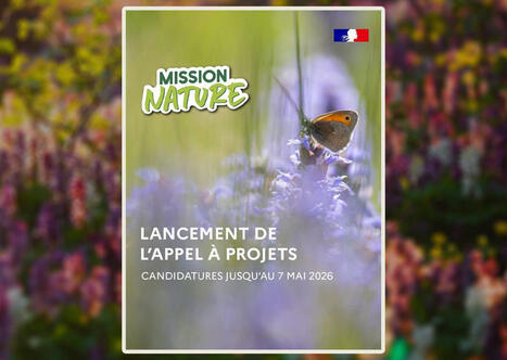 Lancement de l&rsquo;appel &agrave; projets "Mission Nature 2026" d&eacute;di&eacute; &agrave; la restauration de la biodiversit&eacute; | Banque des Territoires | La SELECTION du Web | CAUE des Vosges - www.caue88.com | Scoop.it