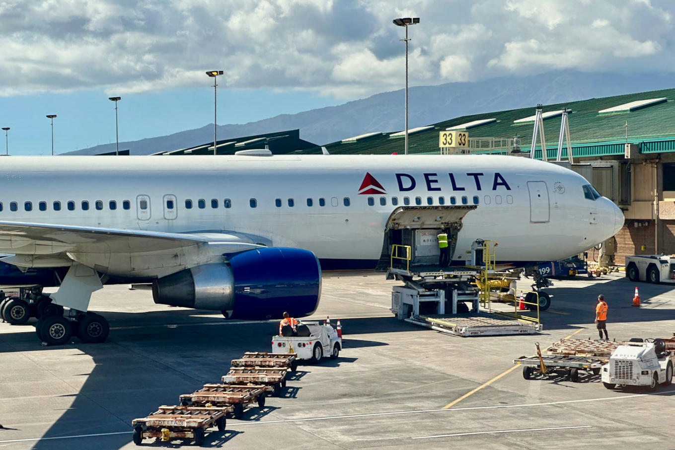 Delta adds Hertz status for all Medallion elite...