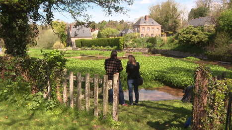 L'embl&eacute;matique cressonni&egrave;re de Veules-les-Roses s'offre une deuxi&egrave;me jeunesse avec son nouveau patron | Big Data in Business | Scoop.it