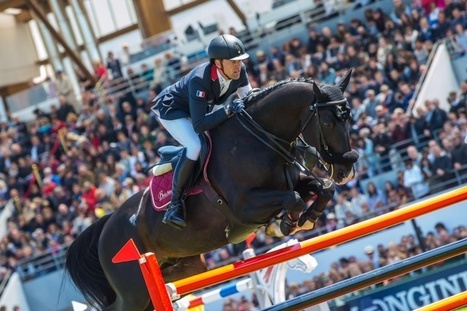 Simon Delestre : « On est un pays de culture équestre » | Cheval et sport | Scoop.it