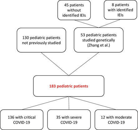 Higher COVID-19 pneumonia risk associated with anti-IFN-α than with anti-IFN-ω auto-Abs in children | Journal of Experimental Medicine | Rockefeller University Press | AUTOIMMUNITY | Scoop.it