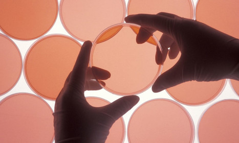 Center for Open Science Findings Raise Questions About Research Integrity - Associations Now | Peer2Politics | Scoop.it